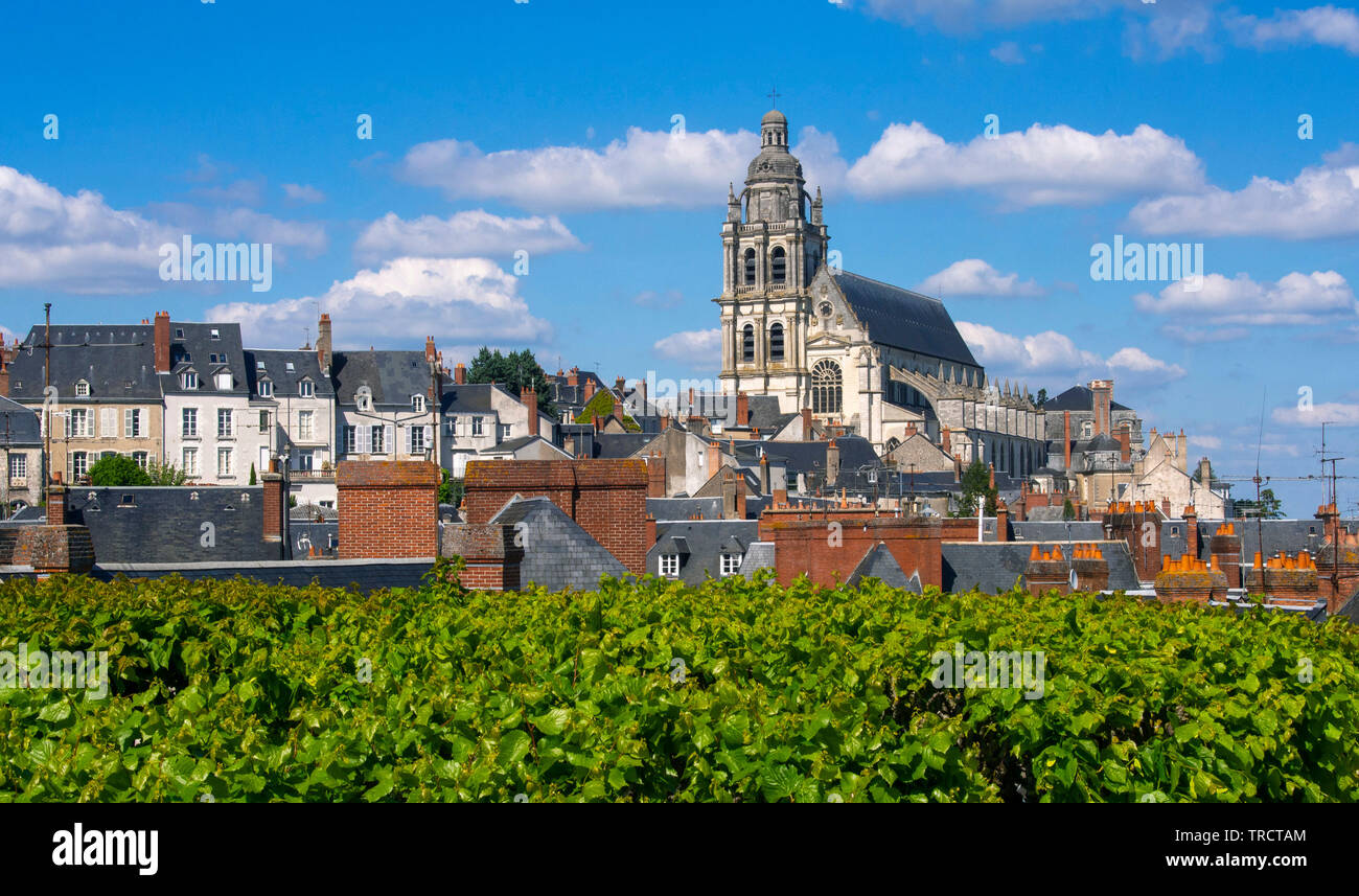 Ville de Blois et de la Cathédrale Saint-Louis, ville de Blois Loire-et-Cher, Center-Val de Loire, France, Europe Banque D'Images