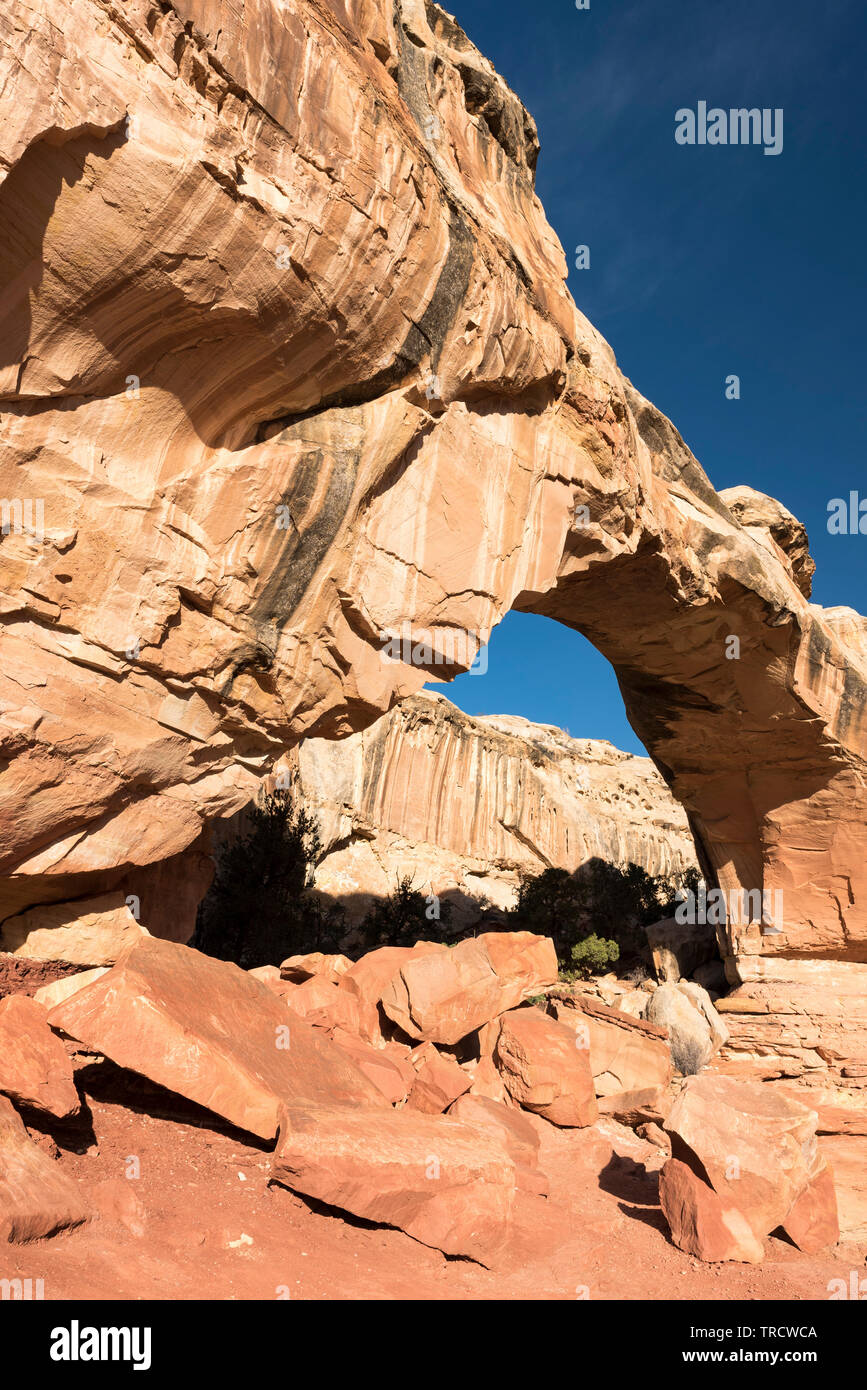 Hickman Bridge est un célèbre monument naturel situé à l'intérieur de Capital Reef National Park, en Utah. Banque D'Images