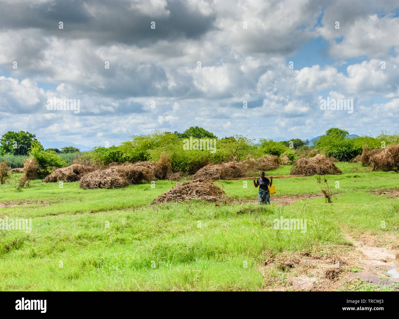 Femme portant un seau en plastique et canne à pêche marche à travers un champ saturées au Malawi qui a été effacée de la nourriture par les inondations après le passage du cyclone Idai Banque D'Images