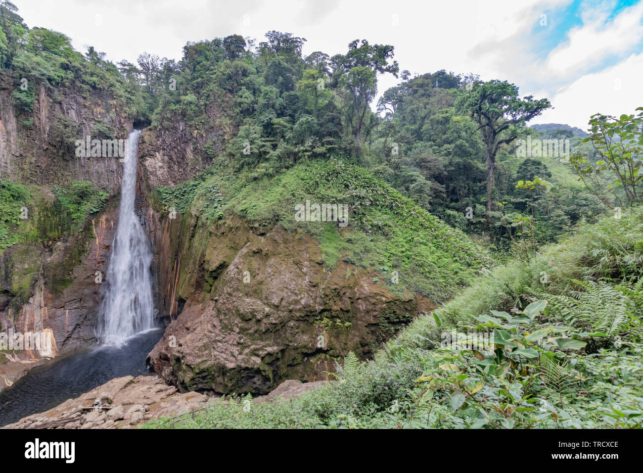 Belle et paysage tropical luxuriant avec la spectaculaire Catarata del Toro, cascade Banque D'Images