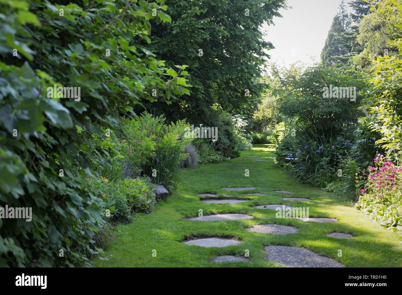 Le Martha Springer Jardin botanique sur le campus de l'Université Willamette à Salem, Oregon, USA. Banque D'Images