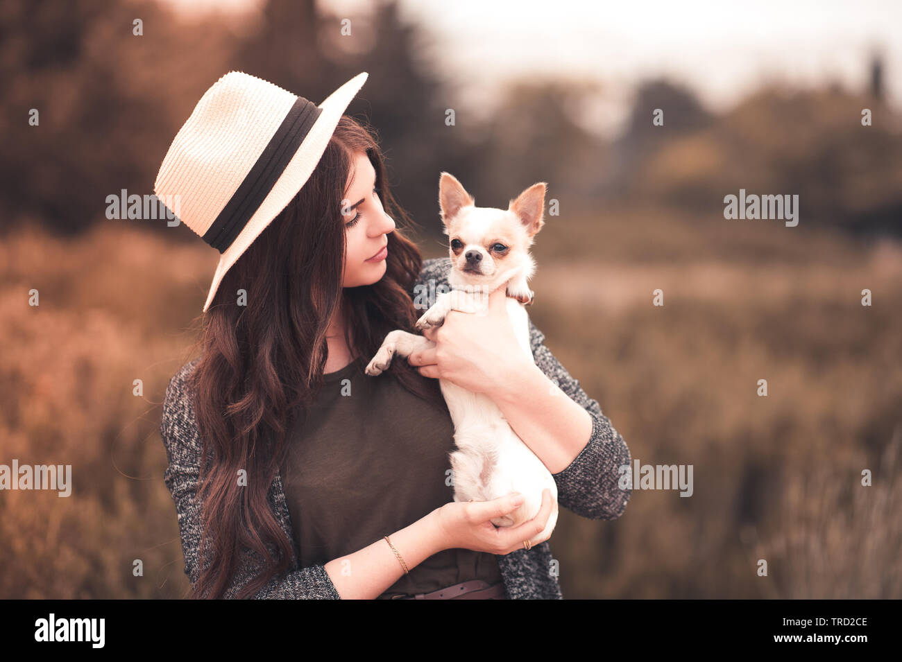 24-29 ans fille élégante holding chihuahua puppy wearing hat d'été à l'extérieur. L'amitié. 20s. Banque D'Images