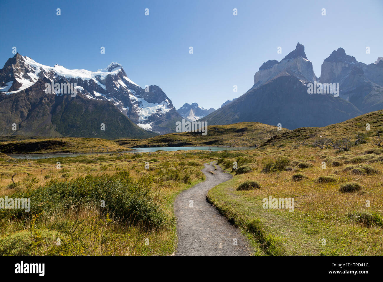 Trail pour voir Los Cuernos en Patagonie, Torres del Paine, Chili Banque D'Images