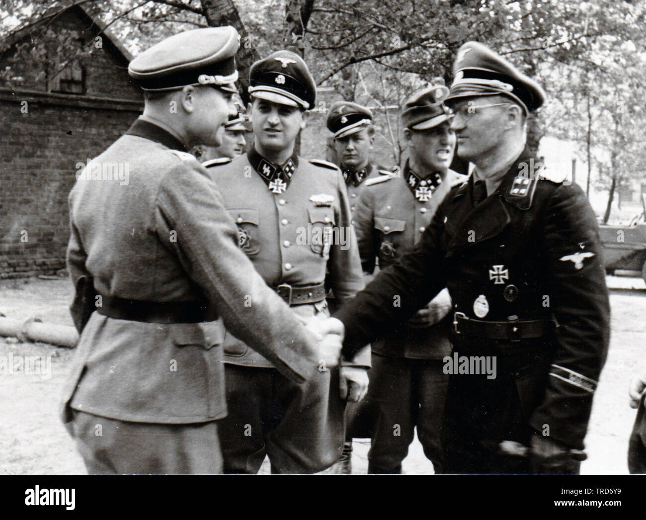 5e SS Panzer Division Officer Paul Kummel est félicité pour sa nomination en tant que commandant d'un régiment blindé de rReconaissance Germania de l'unité de front de l'Est 1944 Banque D'Images