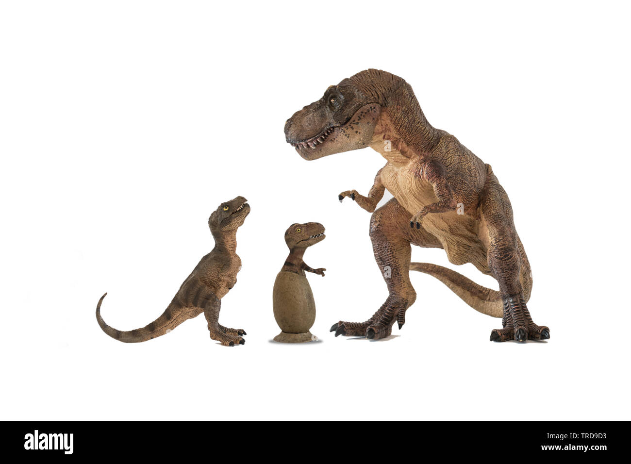 Tyrannosaurus rex Tyrannosaurus rex avec bébé nouveau-né et tyrannosaurus en egg isolé sur fond blanc Banque D'Images