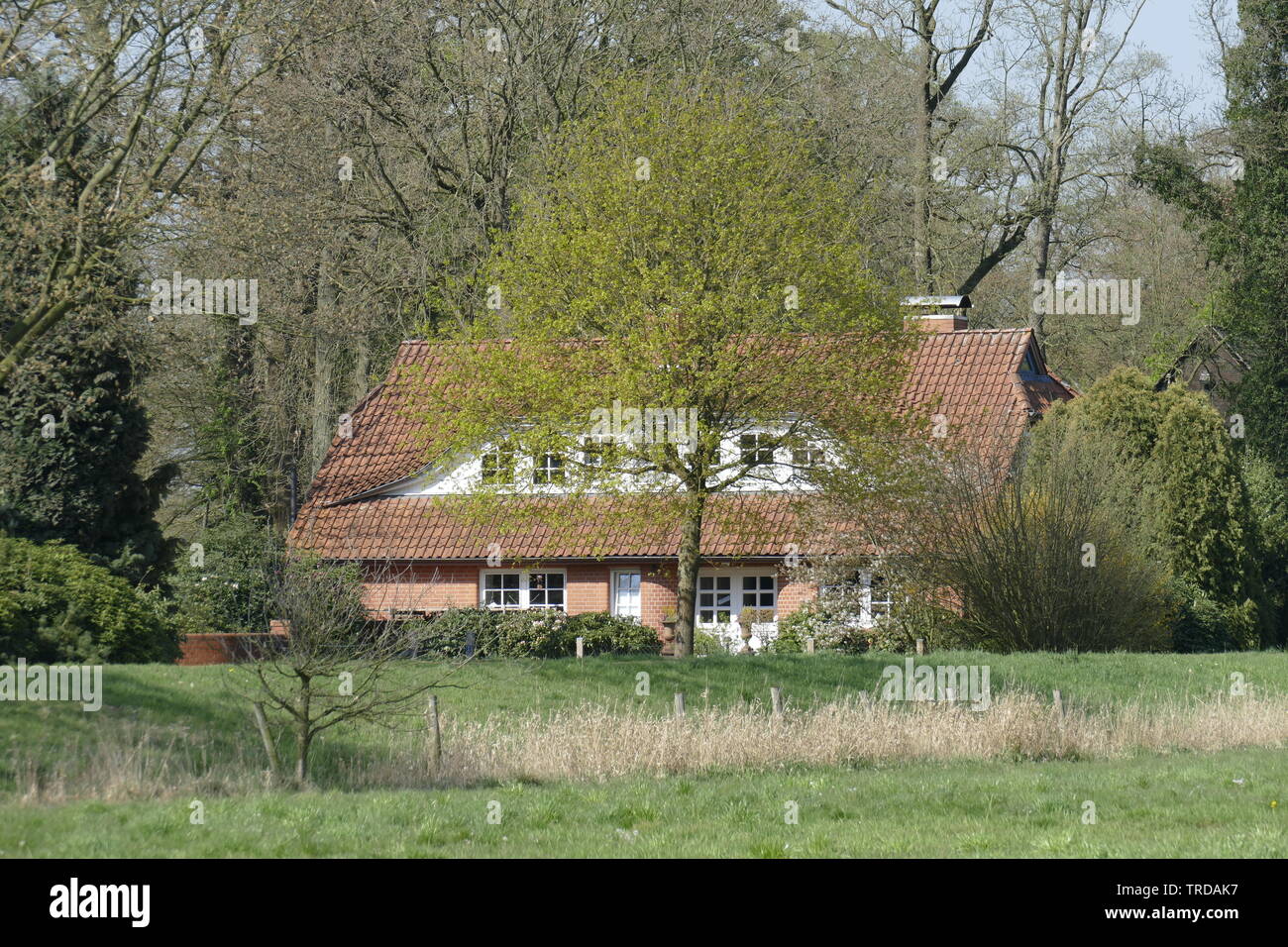 Bâtiment résidentiel moderne, une maison unifamiliale, Basse-Saxe, Allemagne, Europe Banque D'Images