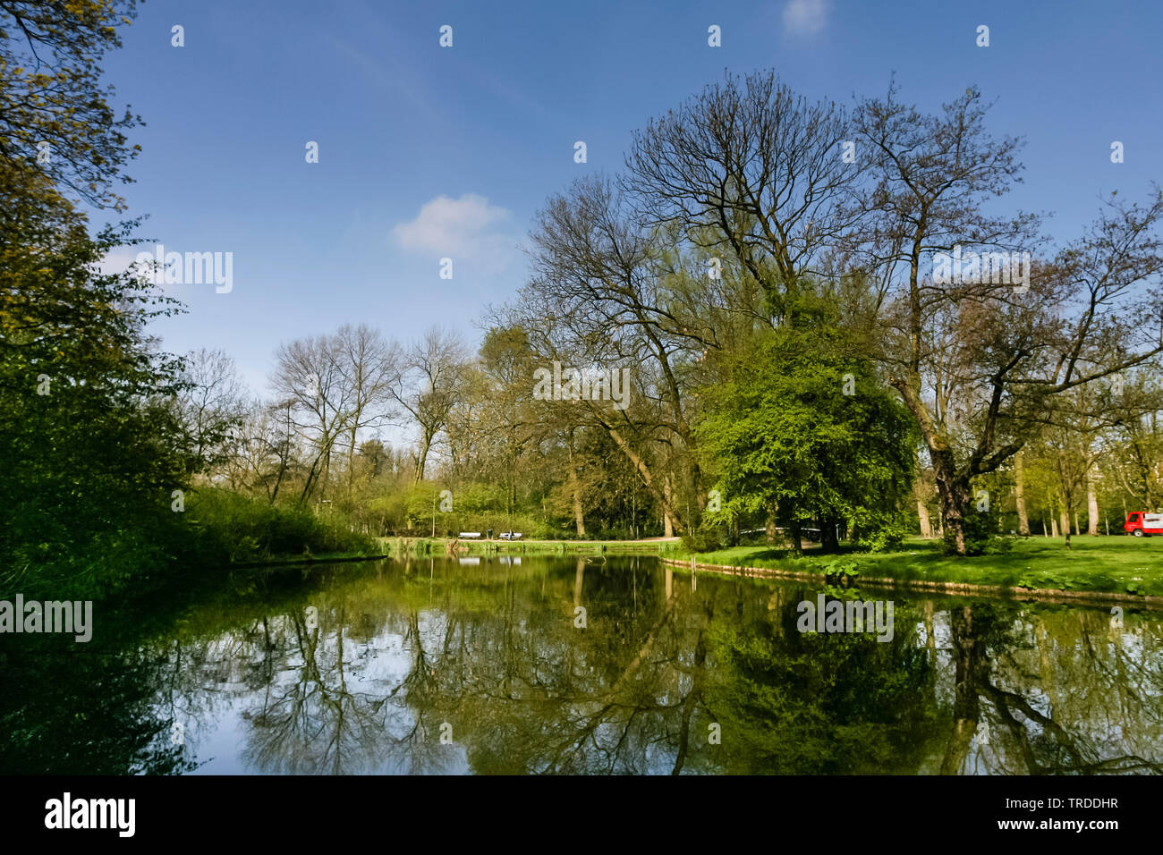 Park à Amsterdam au printemps, Pays-Bas, nord des Pays-Bas, Amsterdam Banque D'Images