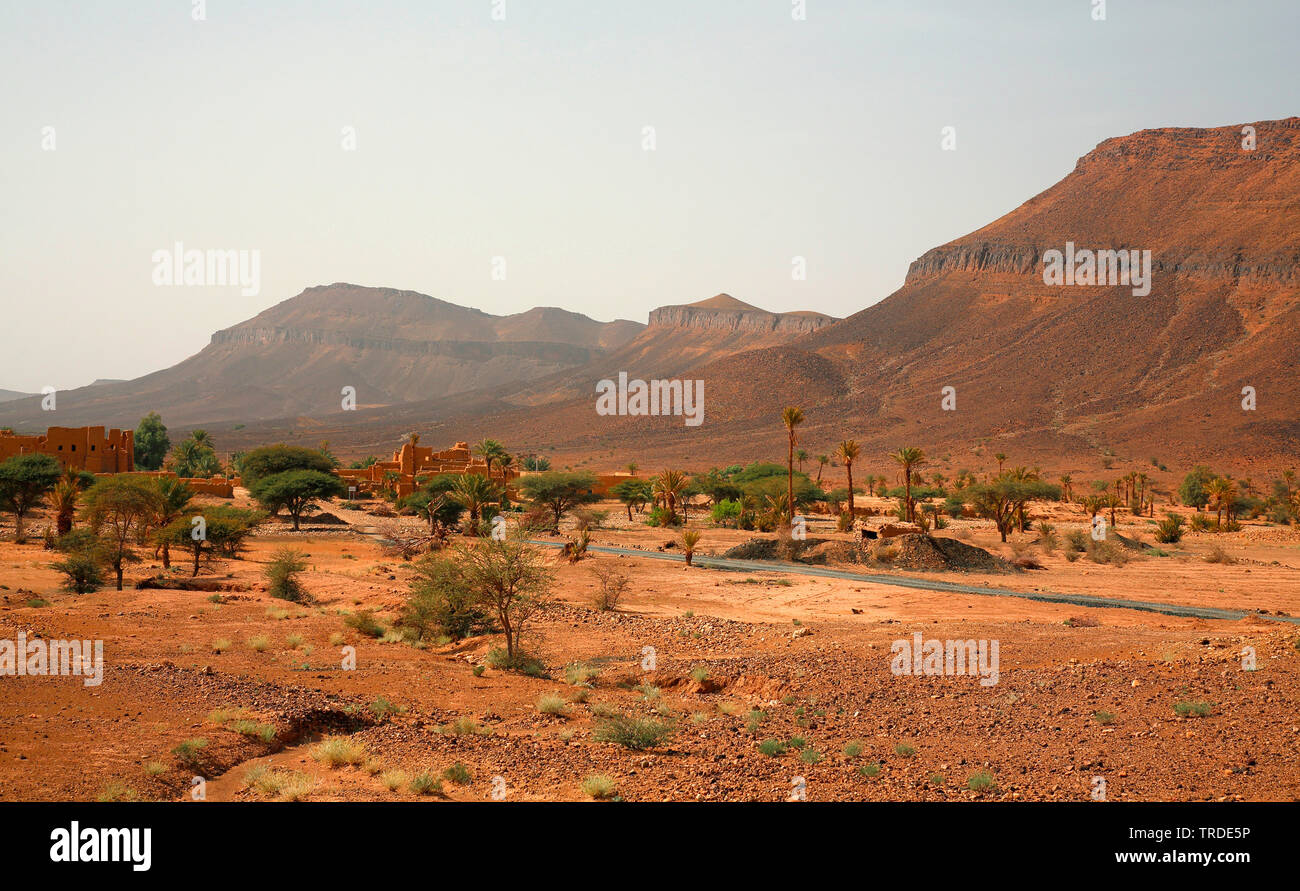 Village berbère ait Ouazik, Maroc, Tazzarine, ait Ouazik Banque D'Images