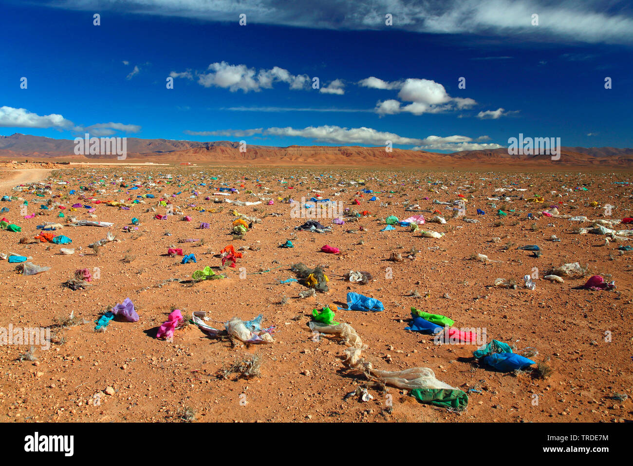 Les déchets en plastique soufflé par le vent sur un plateau, le Maroc, BOUMALNE DADES Banque D'Images