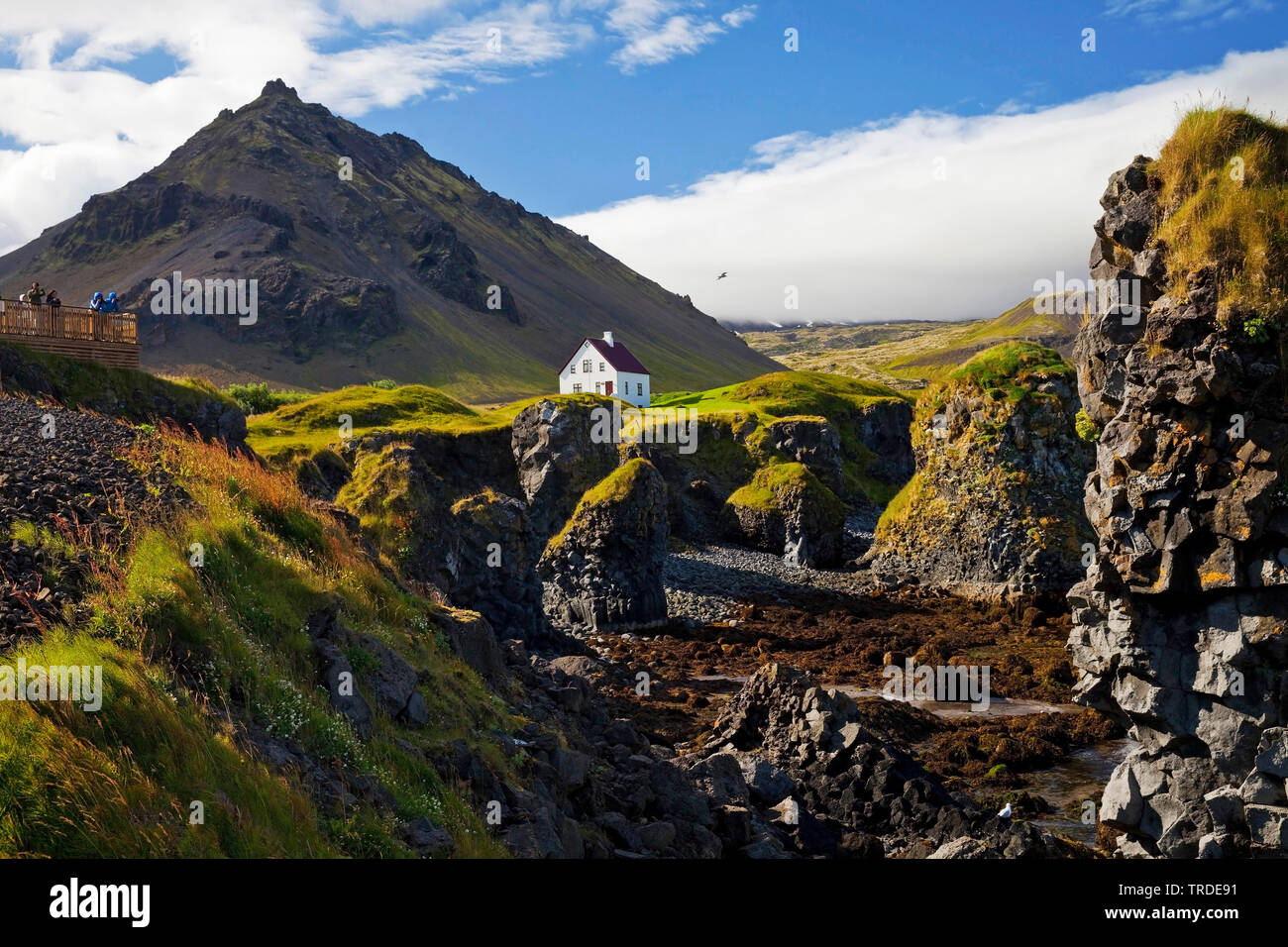 Maison sur la côte de basalte en face du volcan Stapafell, Islande, Vesturland, Arnarstapi, Snæfellsnes Banque D'Images
