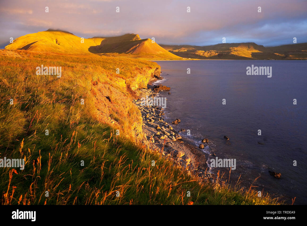 Grundarfjoerdur fjord dans la soirée, l'Islande, Glasgow Banque D'Images