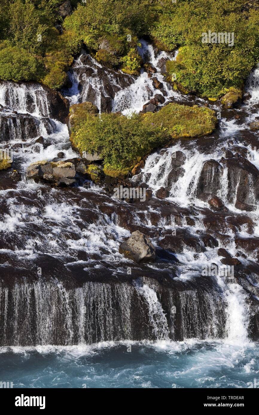 Cascades de Hraunfossar verser dans la rivière Hvita, Islande, Islande de l'Ouest Banque D'Images