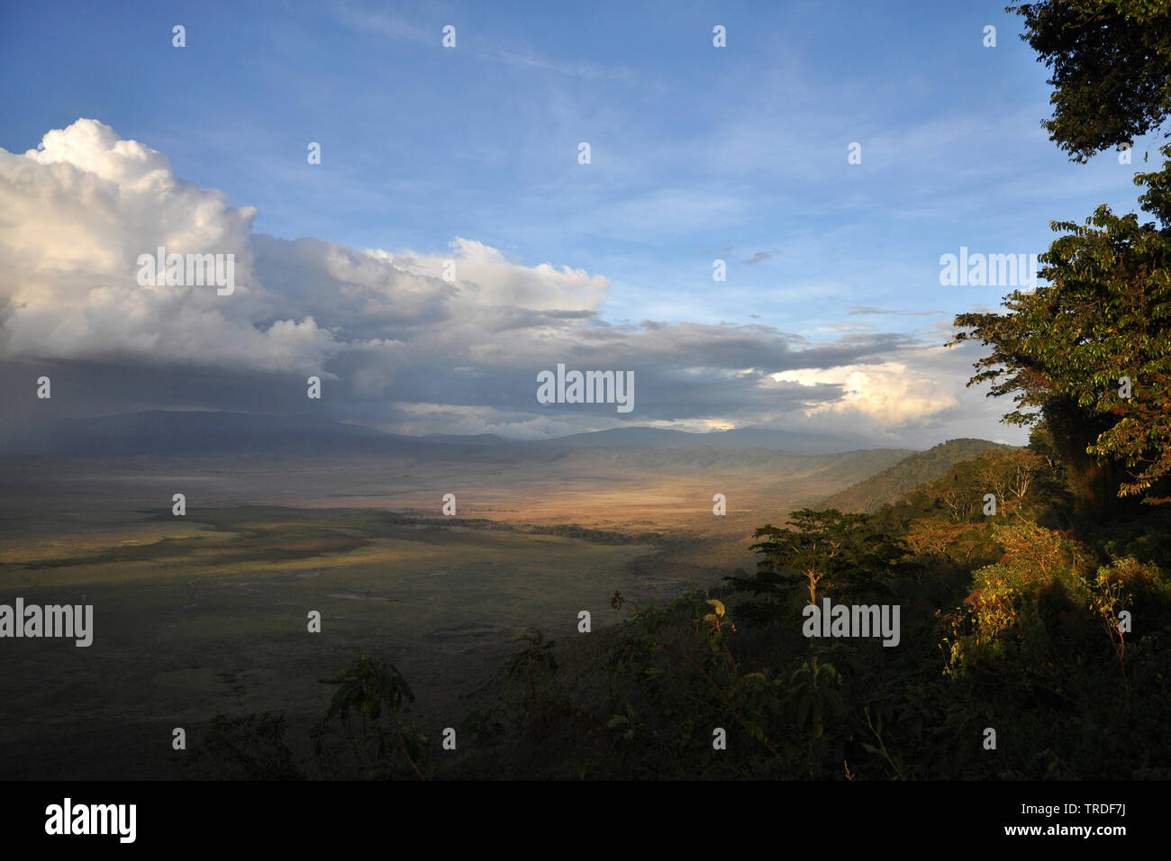 Cratère de Ngorongoro, en Tanzanie, le cratère du Ngorongoro Banque D'Images