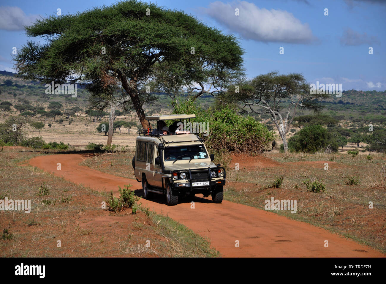 Safari dans le parc national de Tarangire, la Tanzanie, le parc national de Tarangire Banque D'Images