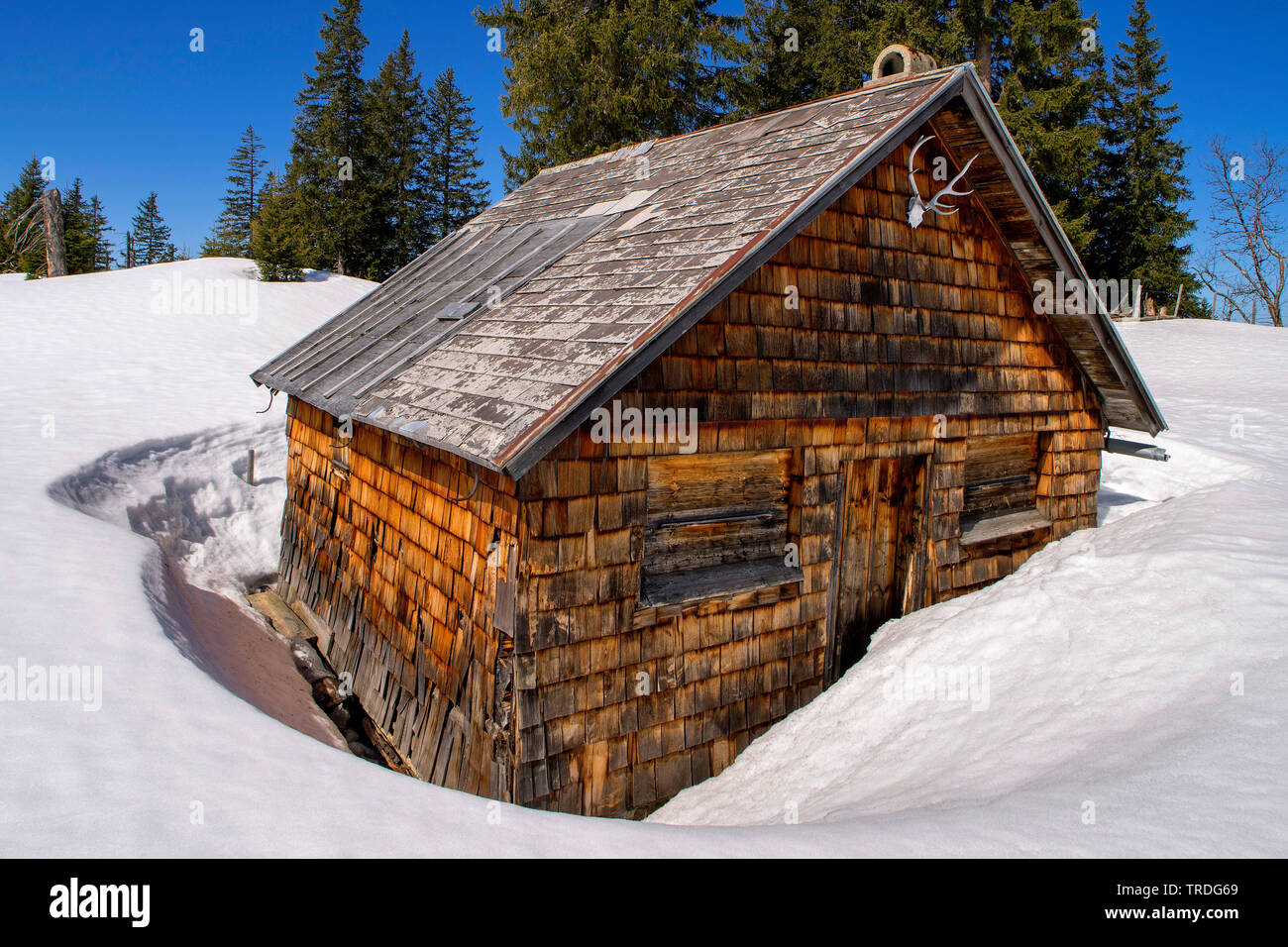 Cabane en bois dans la neige sur la montagne Schoenkahler, Autriche, Tyrol, vallée de Tannheim Banque D'Images