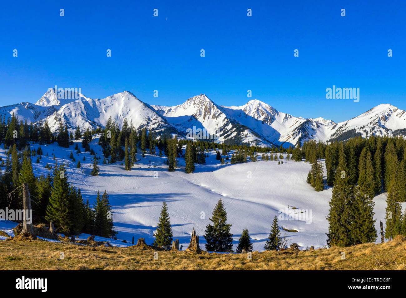 Vue depuis le Schoenkahler à Tannheim Mountains, l'Autriche, le Tyrol, la vallée de Tannheim Banque D'Images