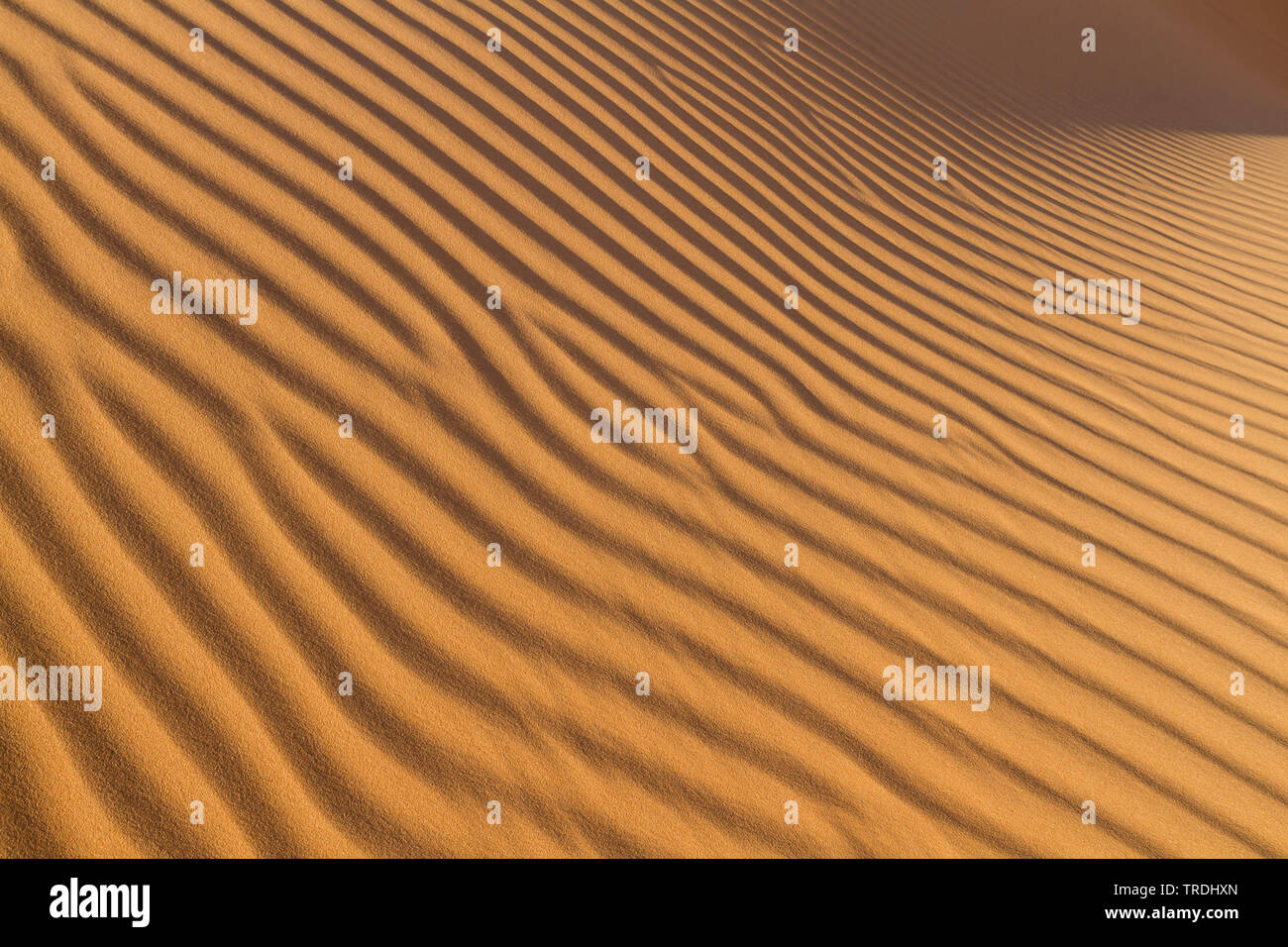 Les ondulations de sable dans le désert d'Oman, Oman Banque D'Images