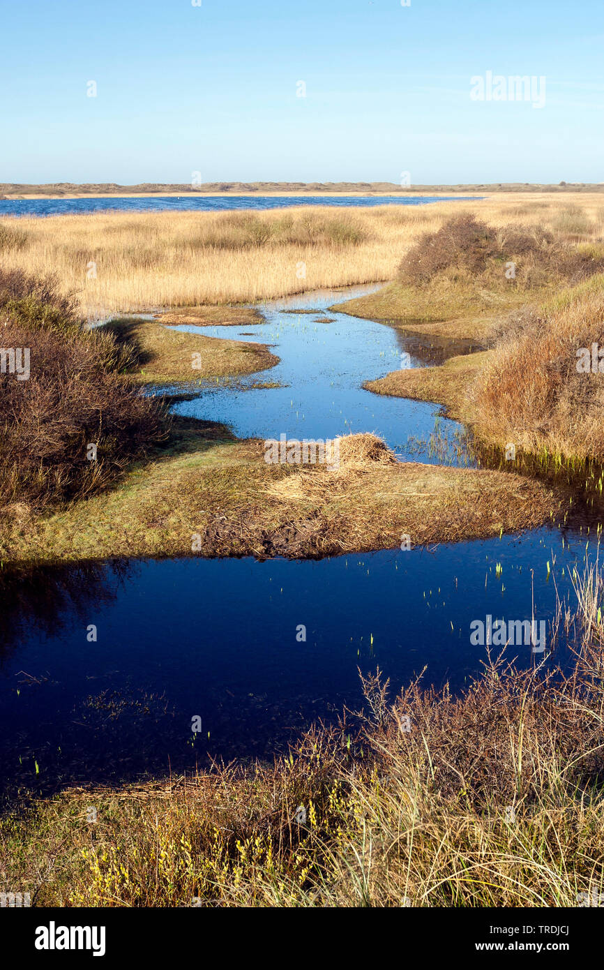 Lac à Texel en printemps, Pays-Bas, Texel Banque D'Images
