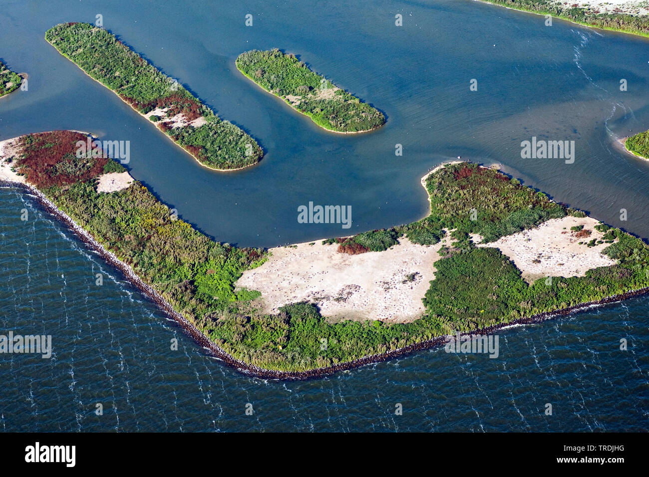 Dans l'île de Kreupel Ijsselmeer, photo aérienne, Pays-Bas, nord des Pays-Bas, de Kreupel Banque D'Images