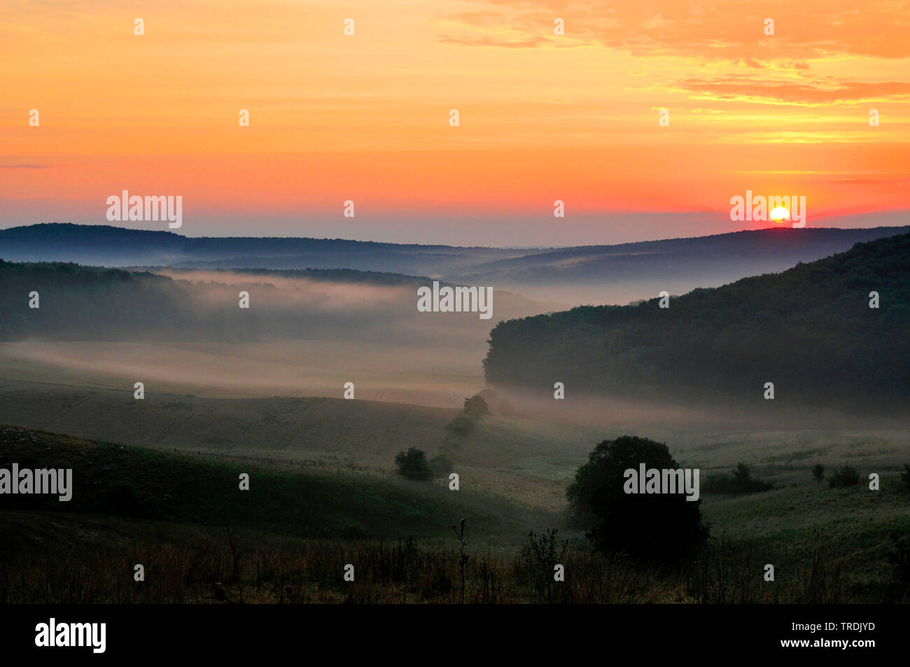 Bergisches Pays dans le lever du soleil, de l'Allemagne, en Rhénanie du Nord-Westphalie, région du Bergisches Land Banque D'Images