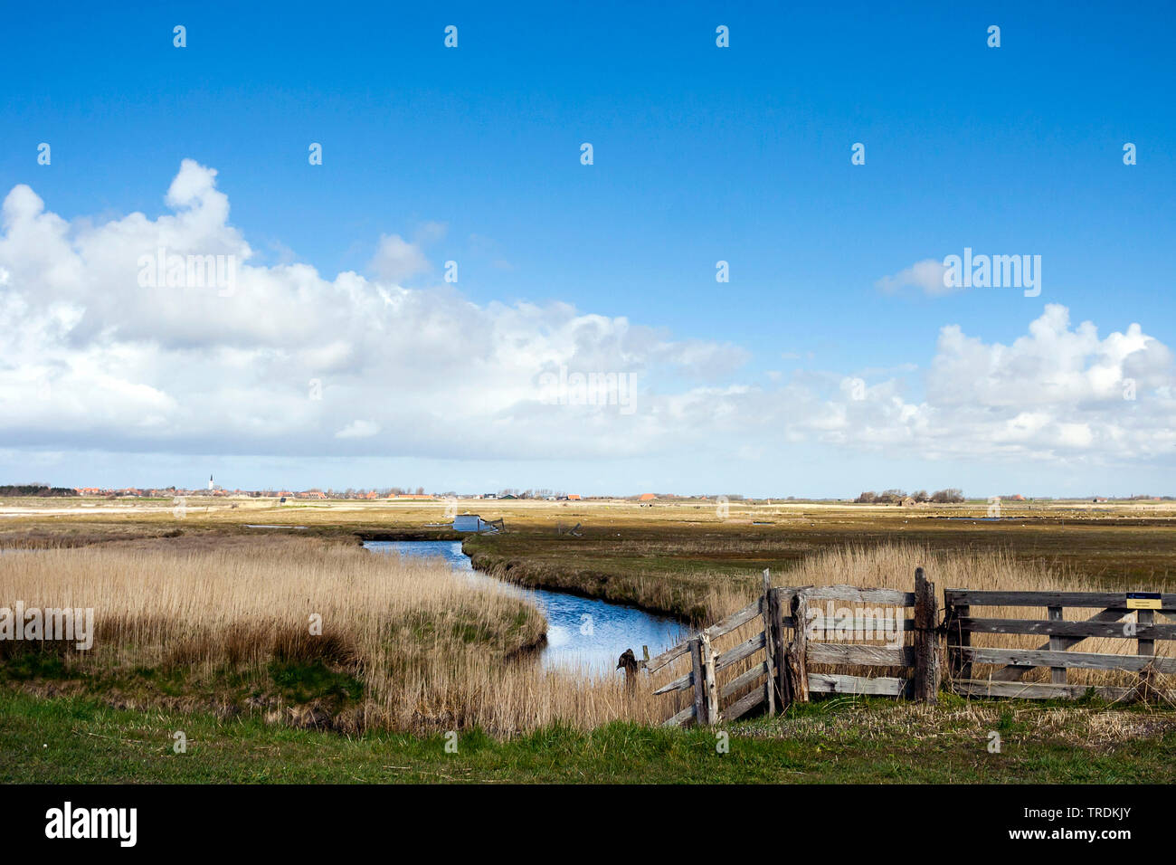 Paysage à Texel en printemps, Pays-Bas, Texel Banque D'Images