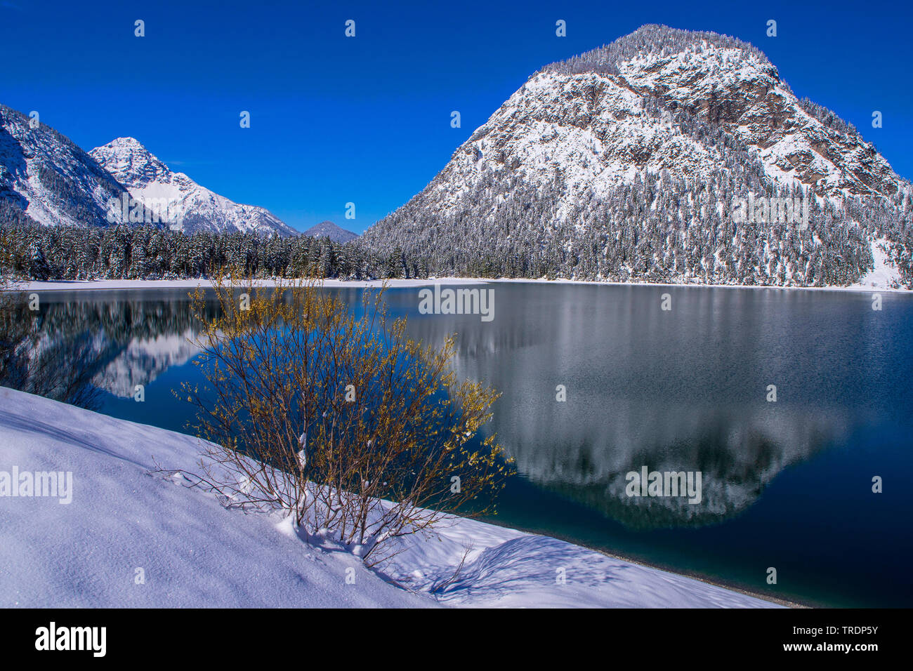 Lac Plansee en hiver, l'Autriche, le Tyrol Banque D'Images