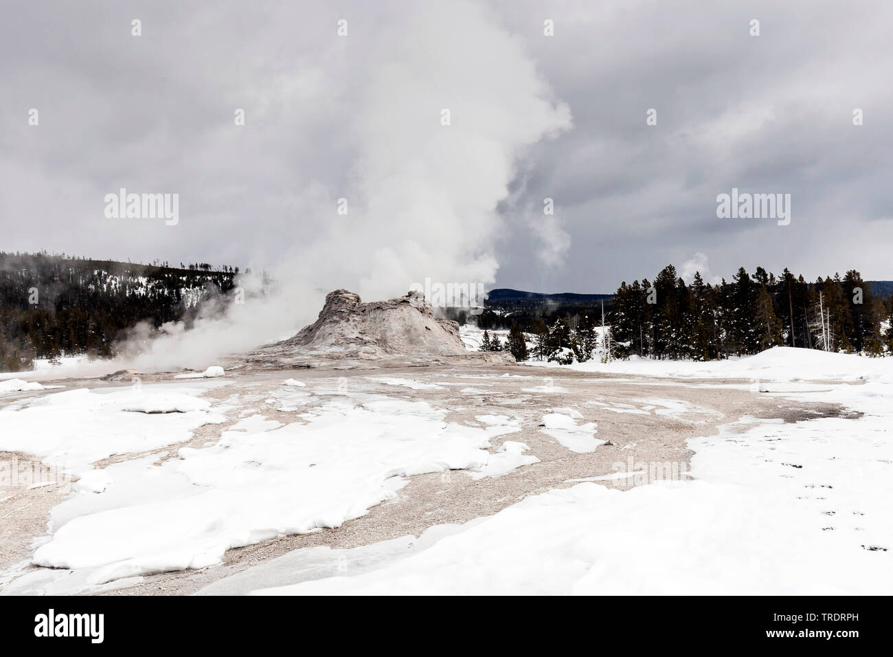 Old Faithful Geyser dans la neige, USA, Wyoming, Yellowstone National Park Banque D'Images