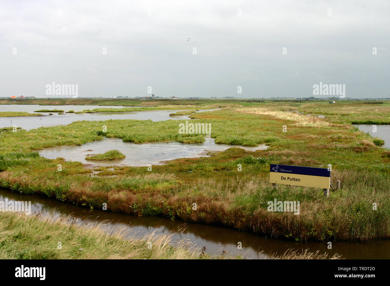 Zone humide de Putten, Pays-Bas, Pays Bas du Nord, Camperduin Banque D'Images