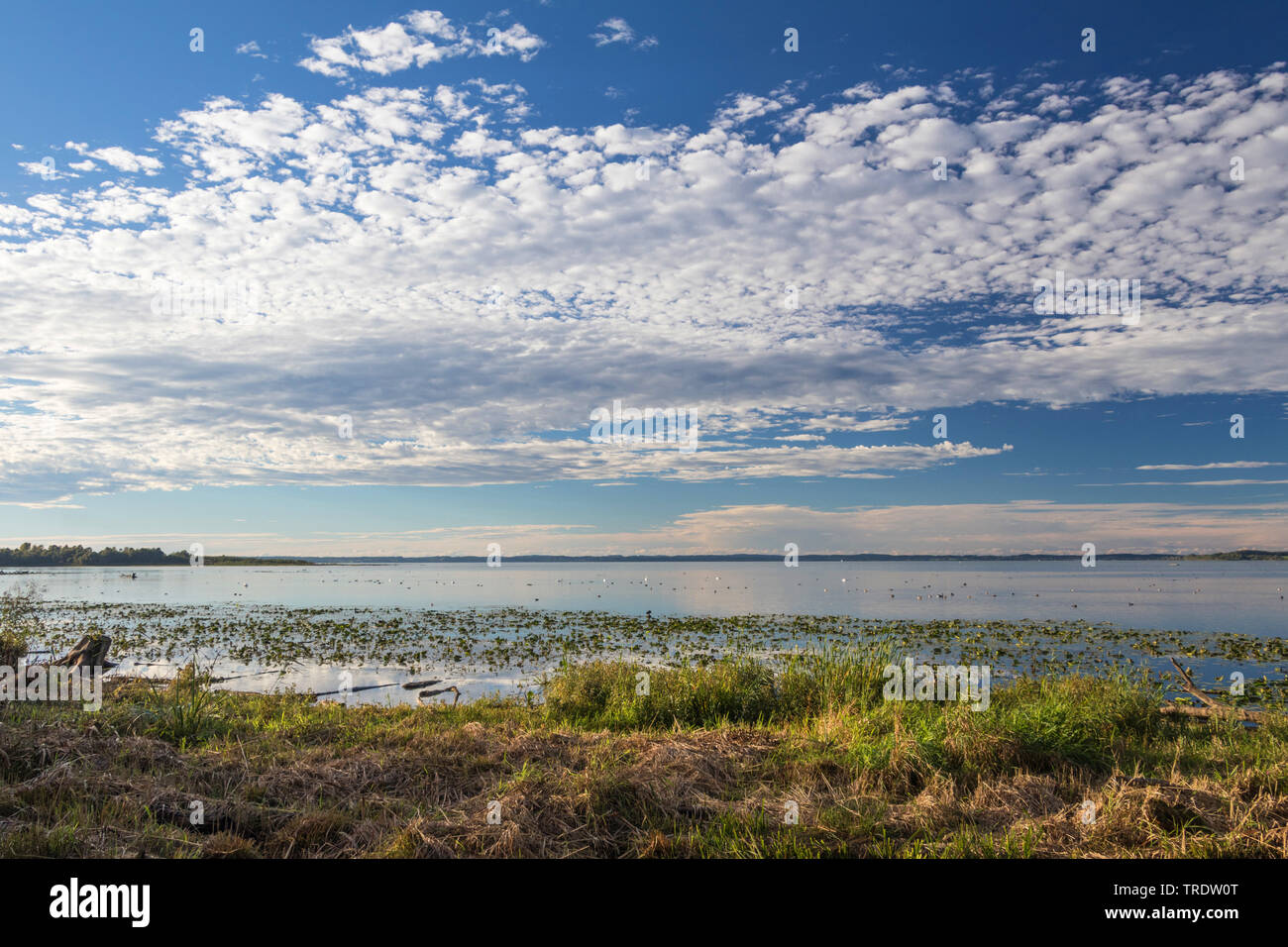 L'Altocumulus perlucidus, au-dessus du lac de Chiemsee, en Allemagne, en Bavière, le lac de Chiemsee Banque D'Images