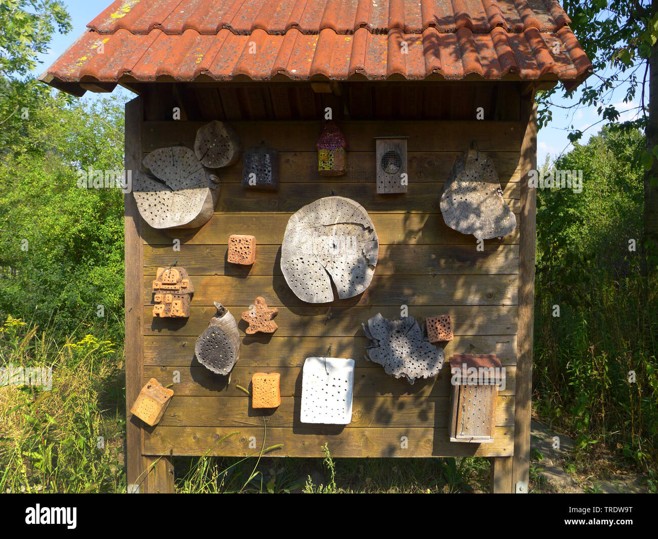 Hôtel d'insectes, Allemagne Banque D'Images