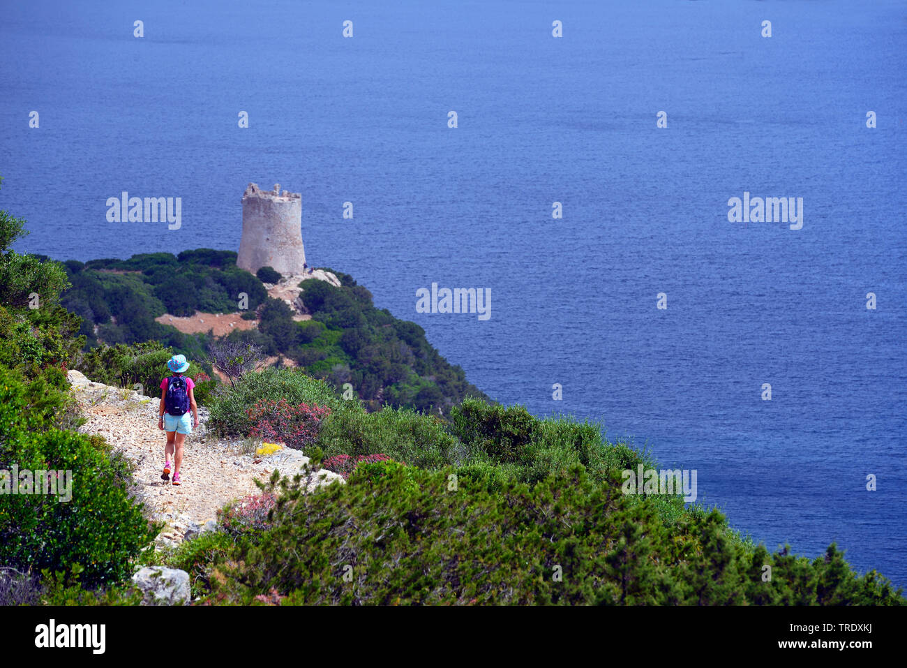 Capo Caccia avec tour génoise, Italie, Sardaigne, Alghero Banque D'Images