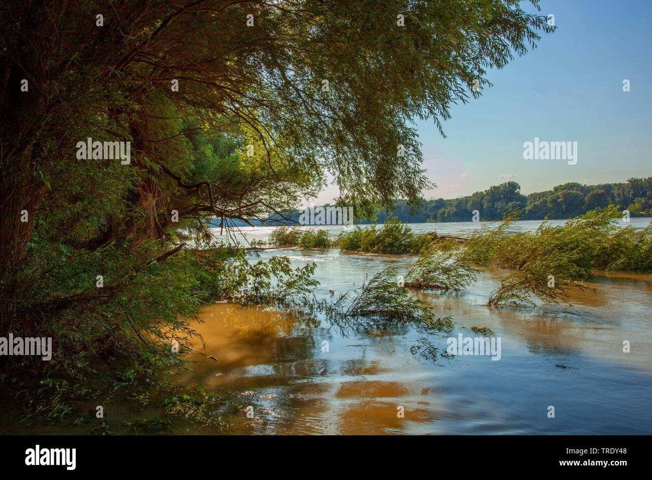 Parc du danube Banque de photographies et d’images à haute résolution