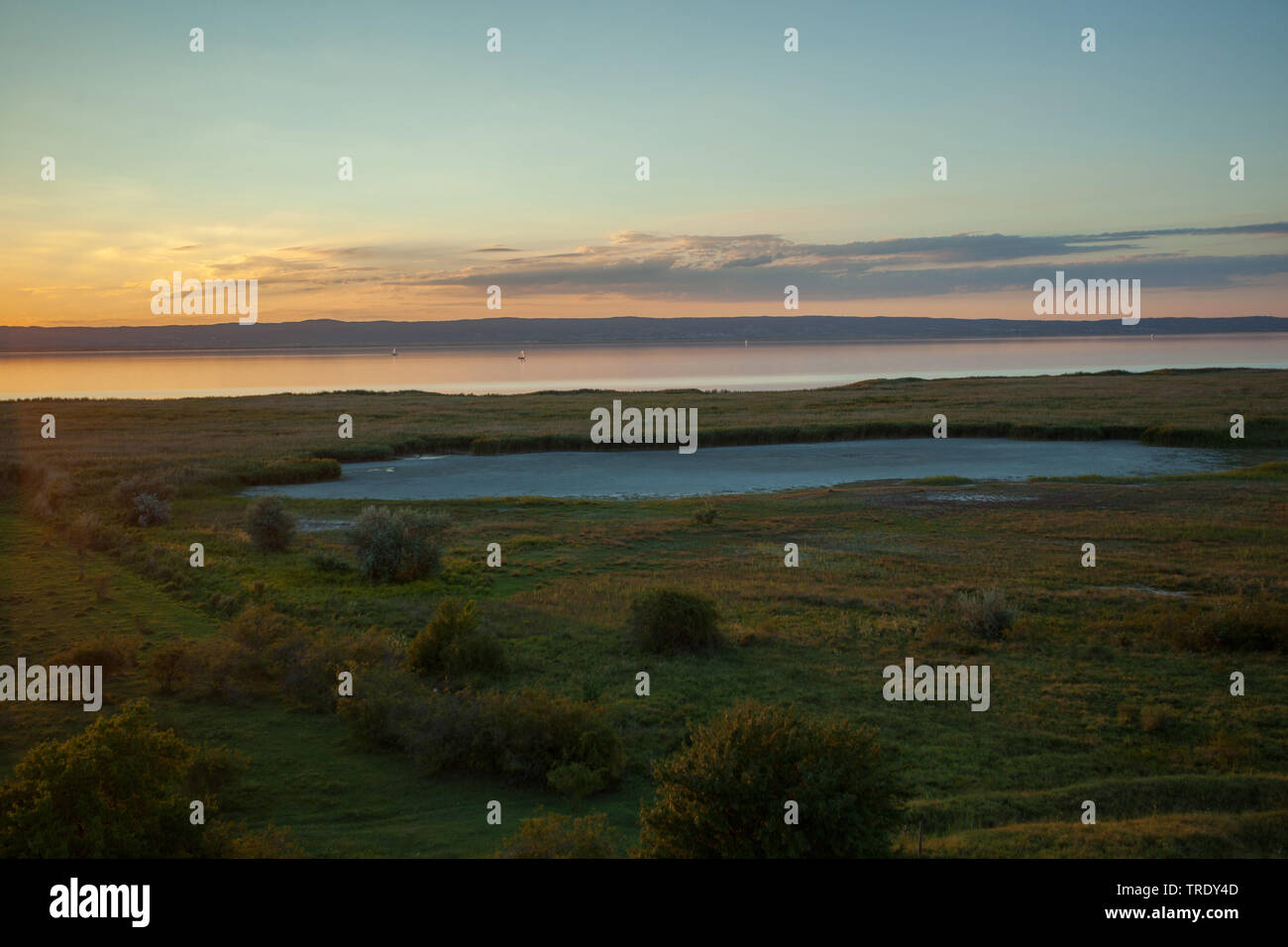 Le lac de Neusiedl dans la lumière du soir, l'Autriche, Burgenland, le parc national de Neusiedler See Banque D'Images