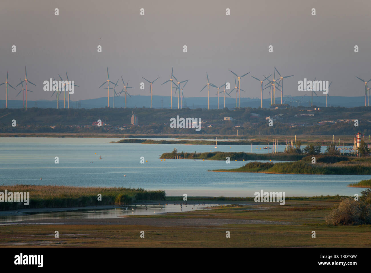 Ferme éolienne au lac de Neusiedl, l'Autriche, Burgenland, le parc national de Neusiedler See, Illmitz Banque D'Images