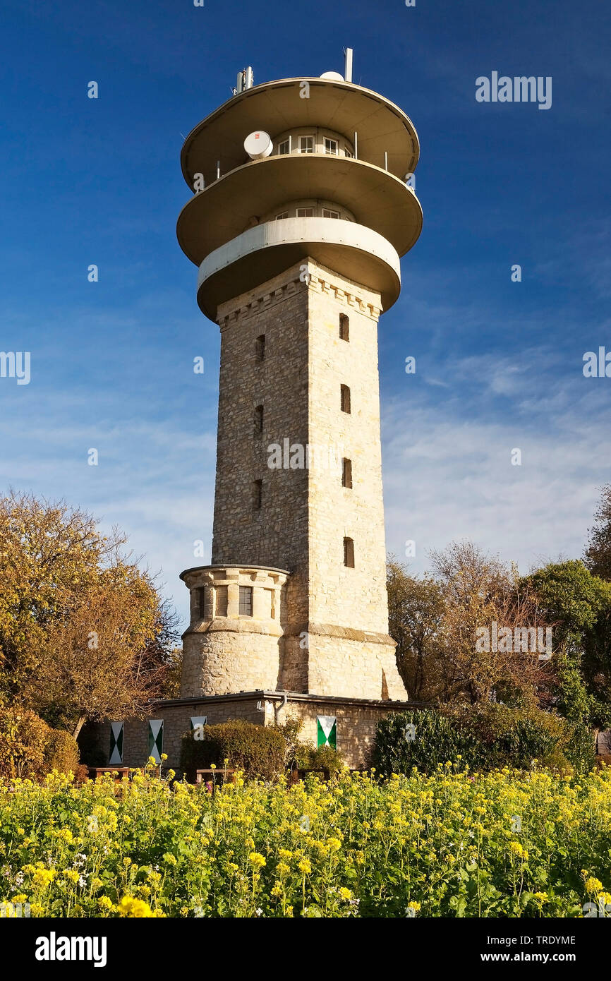 La tour de Longinus Westerberg, Hill, l'Allemagne, l'Baumberge-du-Nord-Westphalie, Münster, Nottuln Banque D'Images