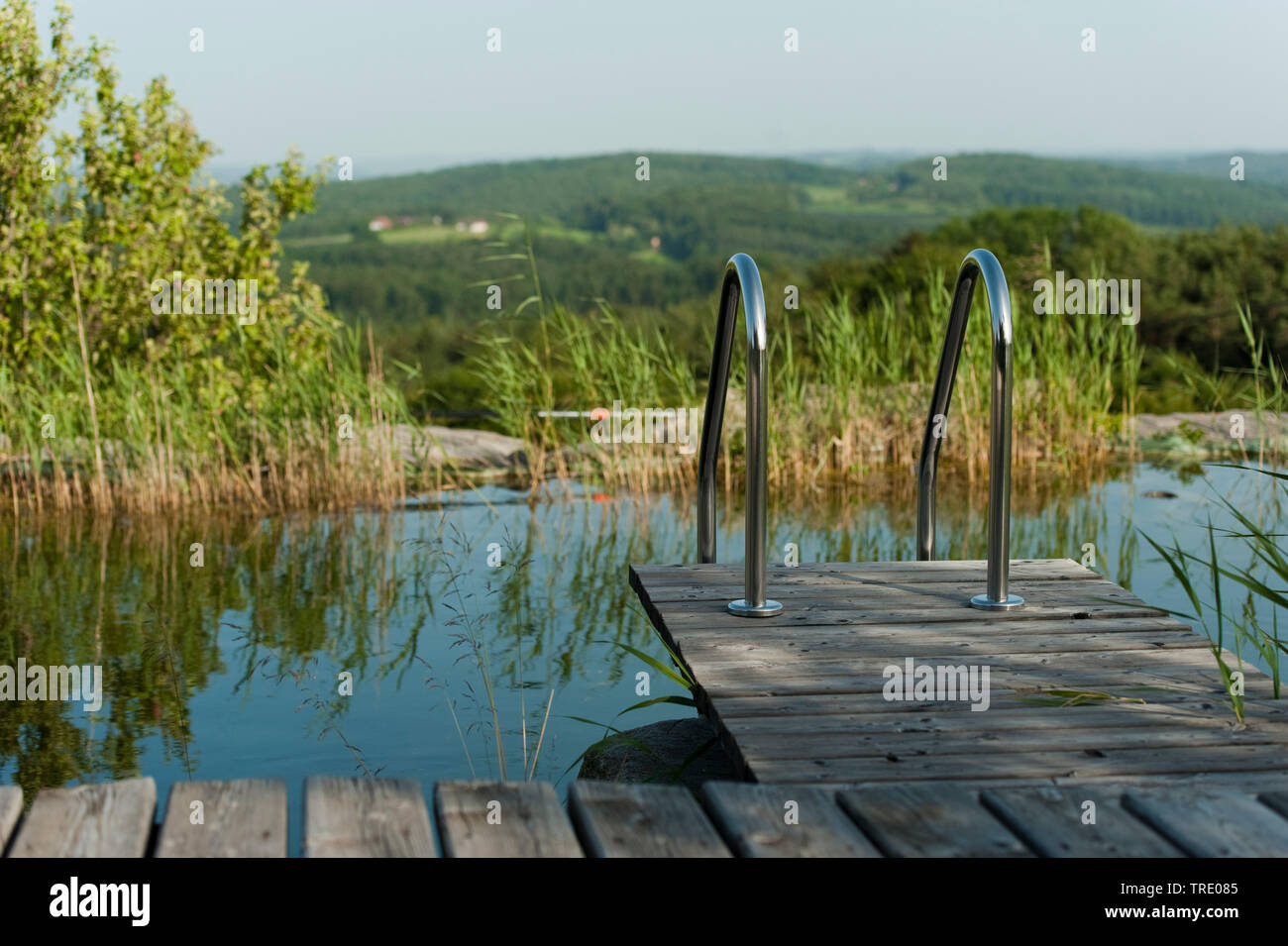 Piscine naturelle en plein air avec Reed et une plate-forme en bois avec échelle d'accès Banque D'Images