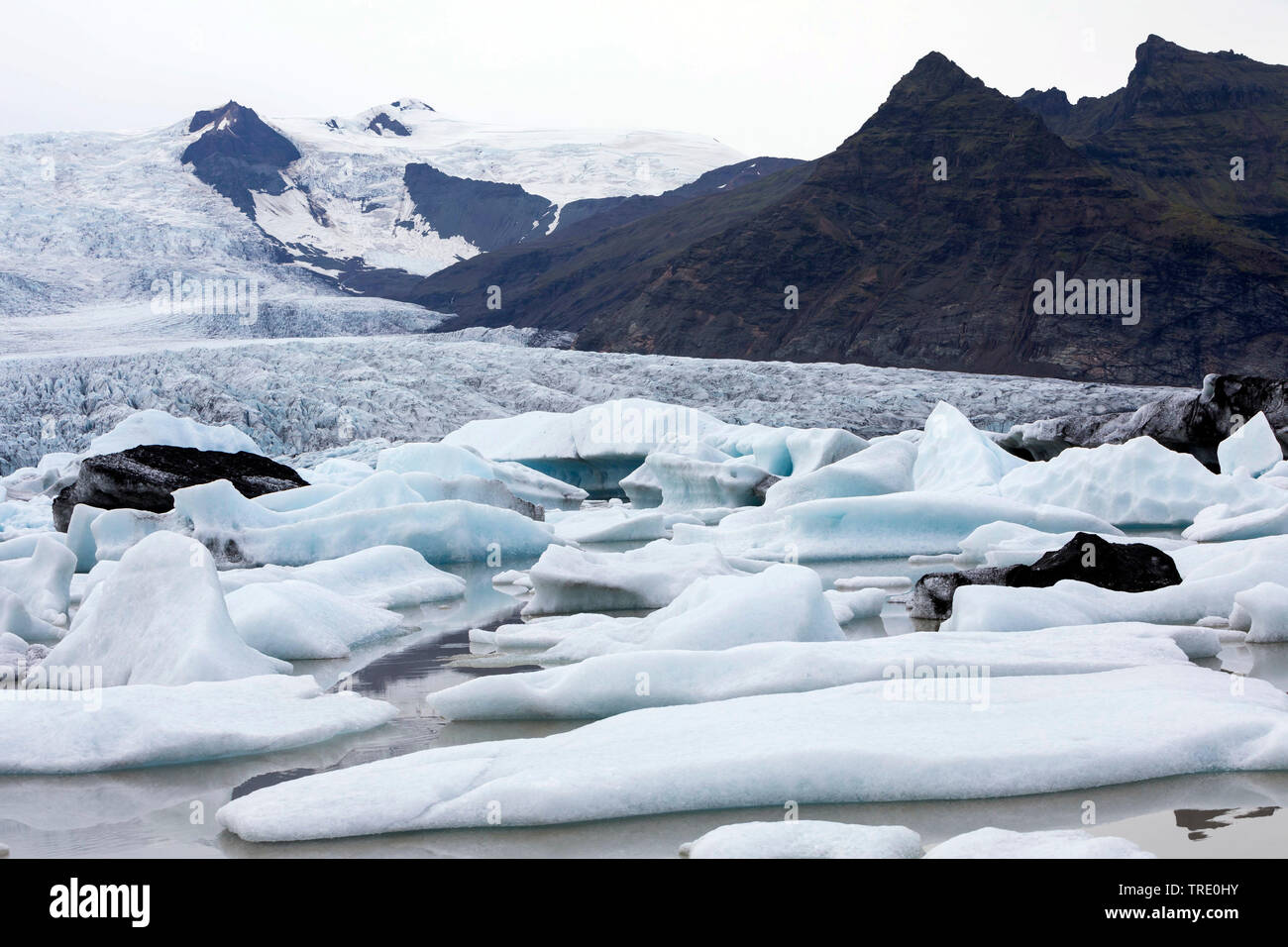 Iceberg Fjallsarlon, dans la lagune de vêlage des glaciers, l'Islande, Vatnajoekull National Park Banque D'Images