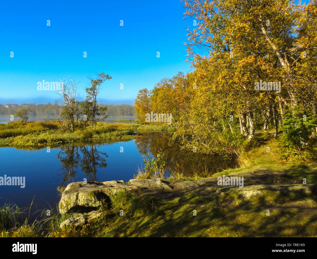 Automne au lac de Prestvannet, Norvège, Troms, Tromsoe Banque D'Images