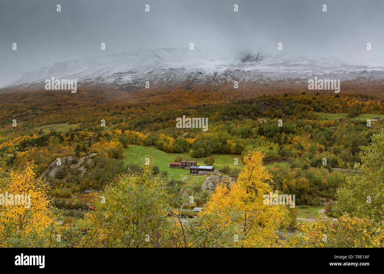 Nouvelle neige à Drivdalen, Norvège, Soer-Troendelag Drivdalen, Banque D'Images