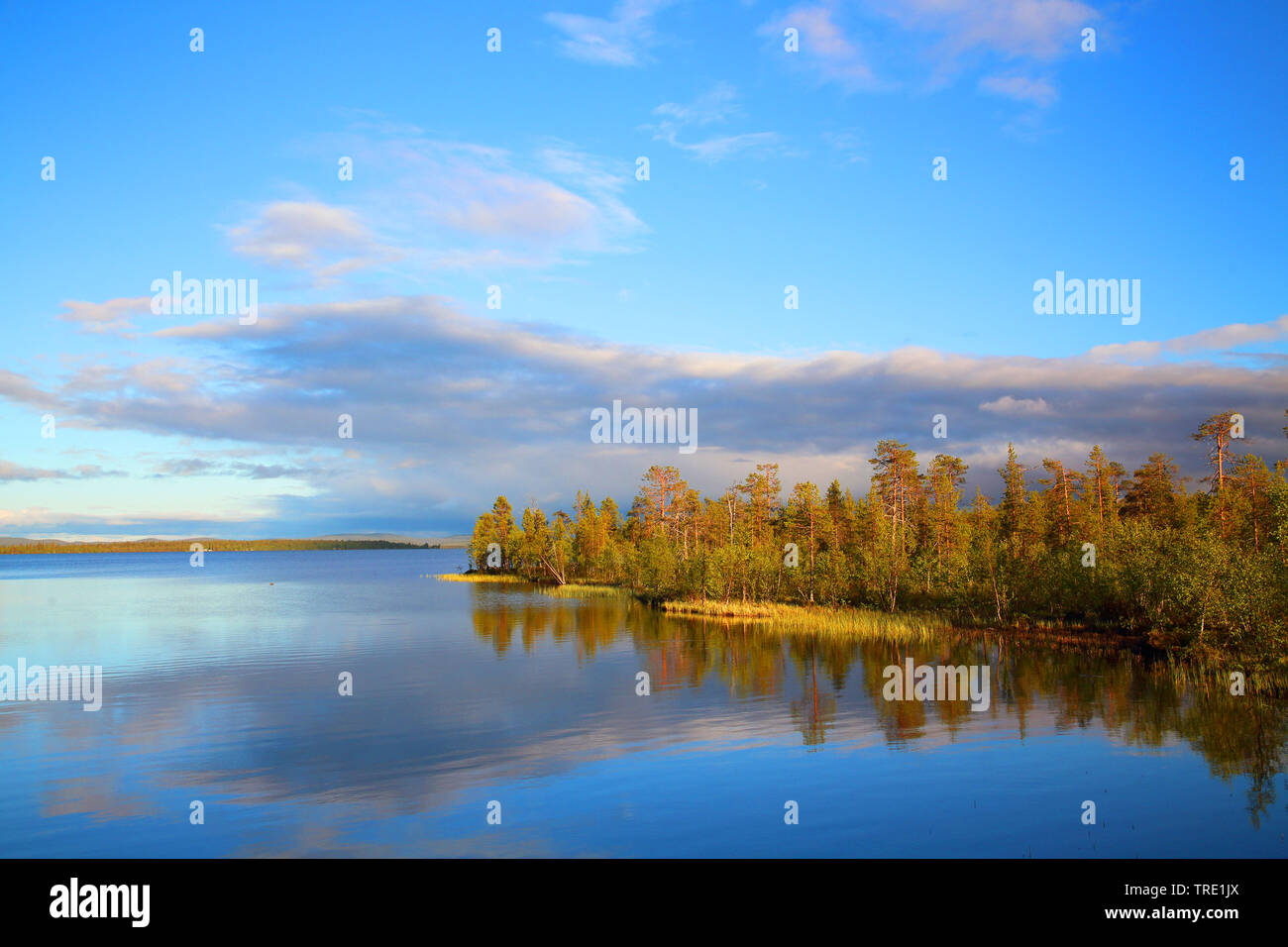 Soleil de minuit au lac Jerisjaervi, Finlande, Pallas Yllaestunturi Nationalpark Banque D'Images