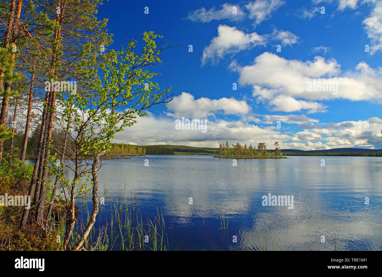 Kivijaervi, Finlande, Raattama Banque D'Images