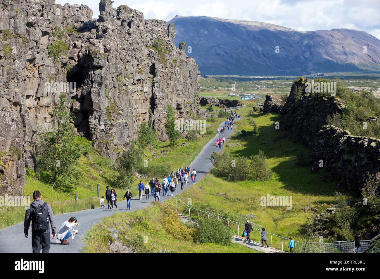 Almannagja, entre les plaques eurasienne et nord-américaine, l'Islande, le Parc National de Thingvellir Banque D'Images