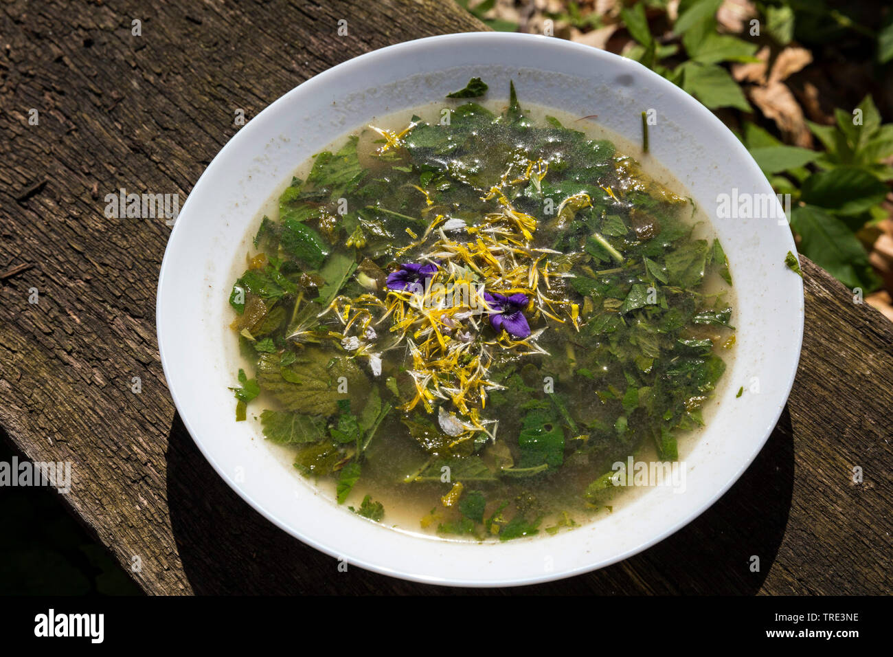 Soupe d'herbes de camp, Allemagne Banque D'Images