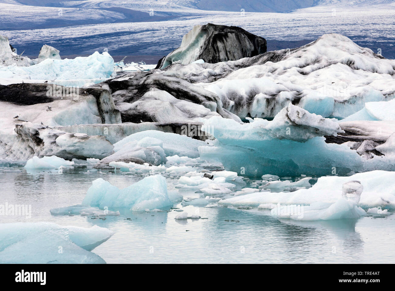 Le lac glaciaire Joekulsarlon avec thrifting icebergs, Islande, Vatnajoekull National Park Banque D'Images