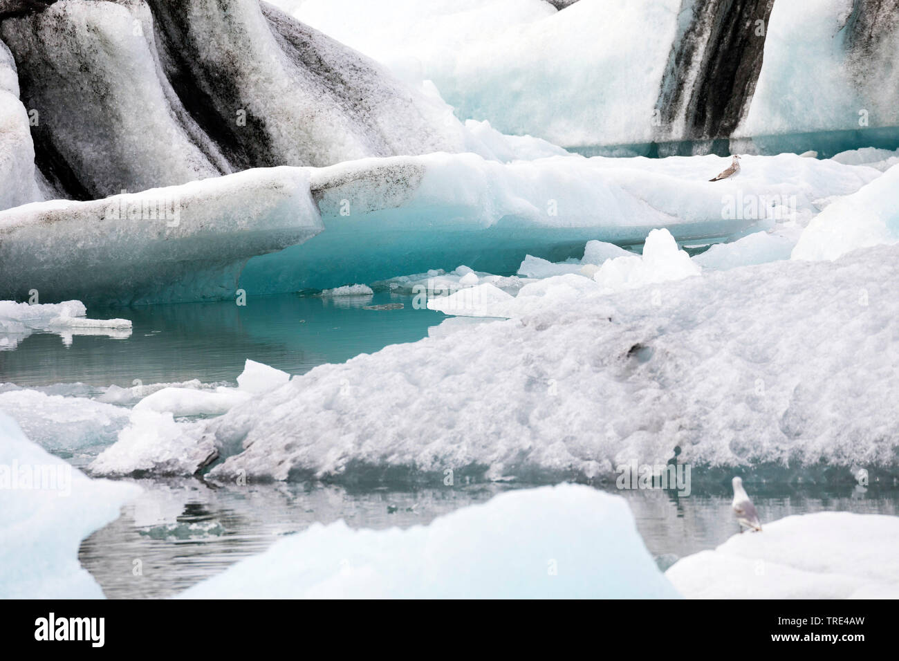 Le lac glaciaire Joekulsarlon avec thrifting icebergs, Islande, Vatnajoekull National Park Banque D'Images