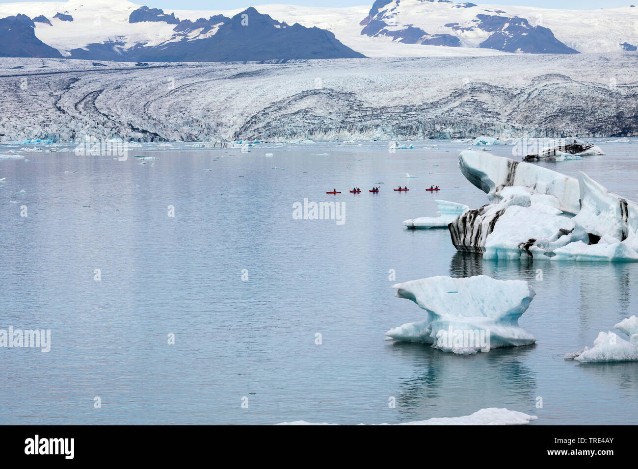 Le lac glaciaire Joekulsarlon avec thrifting icebergs, Islande, Vatnajoekull National Park Banque D'Images