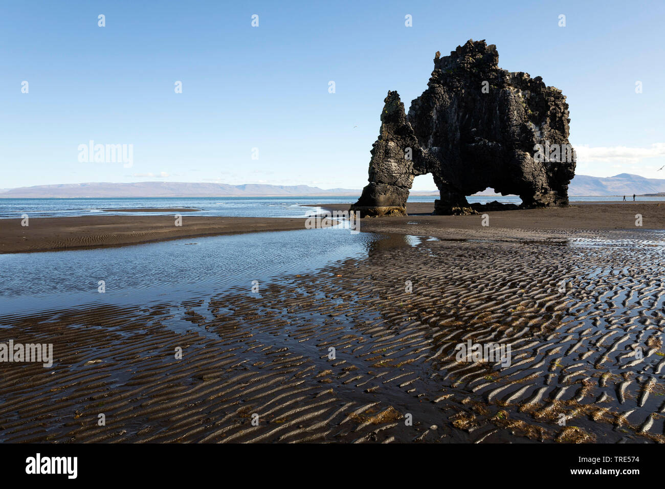 Roc de basalte à la côte est de la péninsule de Vatnsnes, dans le nord-ouest de l'Islande, Islande, Hvitserkur Banque D'Images