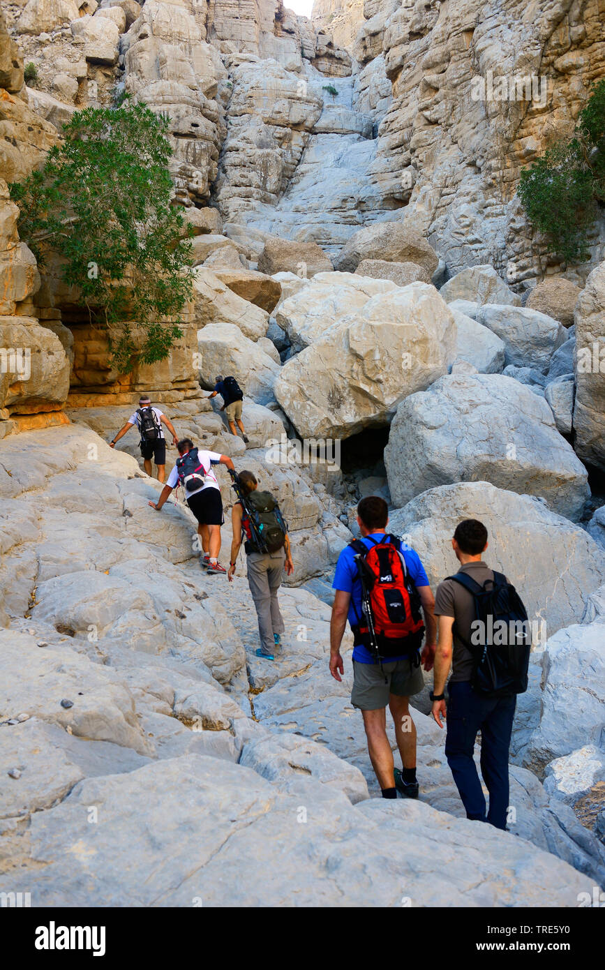 Compagnie de tournée marche à travers le canyon rocheux, Oman, Khasab Banque D'Images
