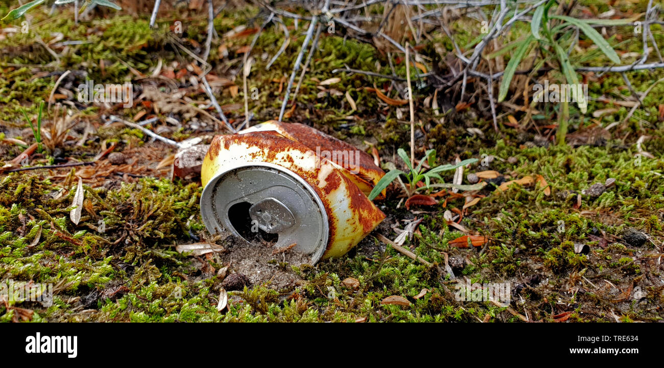 Boîte de conserve rouillée dans les dunes, Pays-Bas Banque D'Images