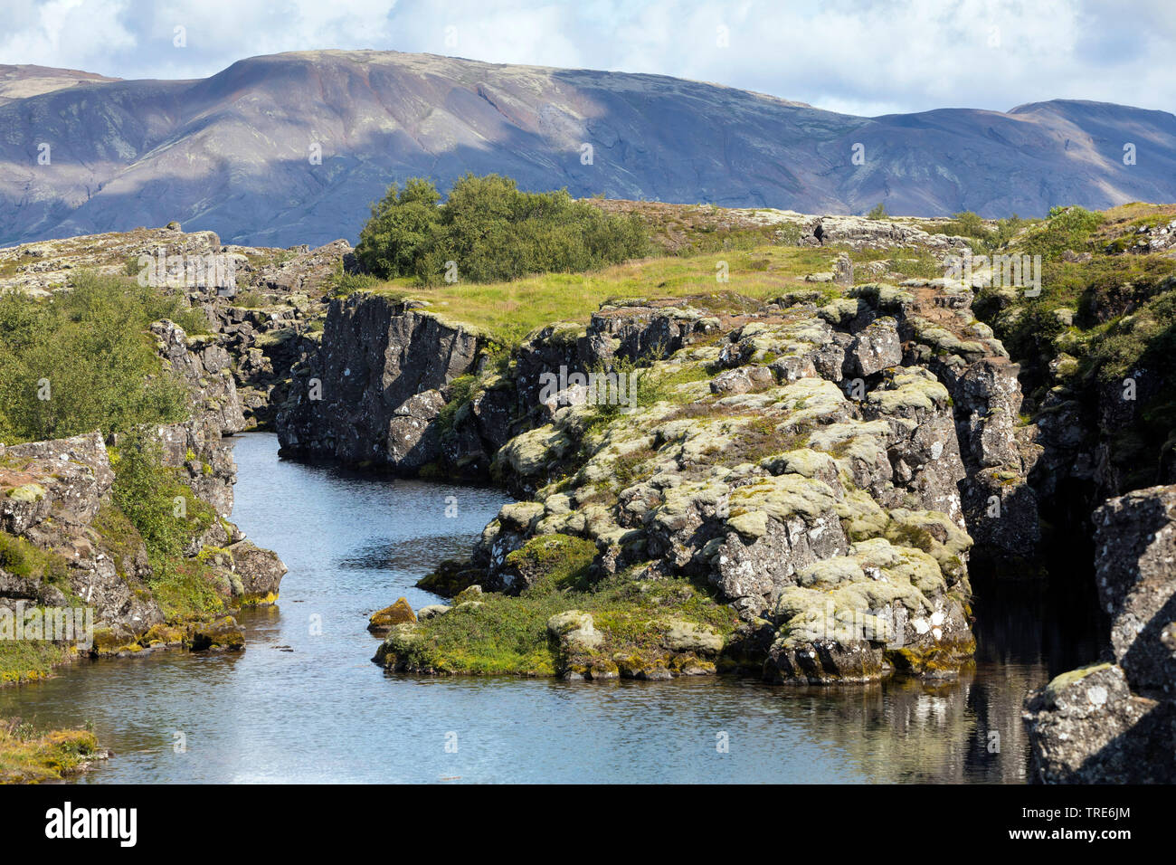 Fissure Silfra s.p.a., frontière tectonique divergente au Parc National de Thingvellir, d'Islande, Islande, le Parc National de Thingvellir Banque D'Images